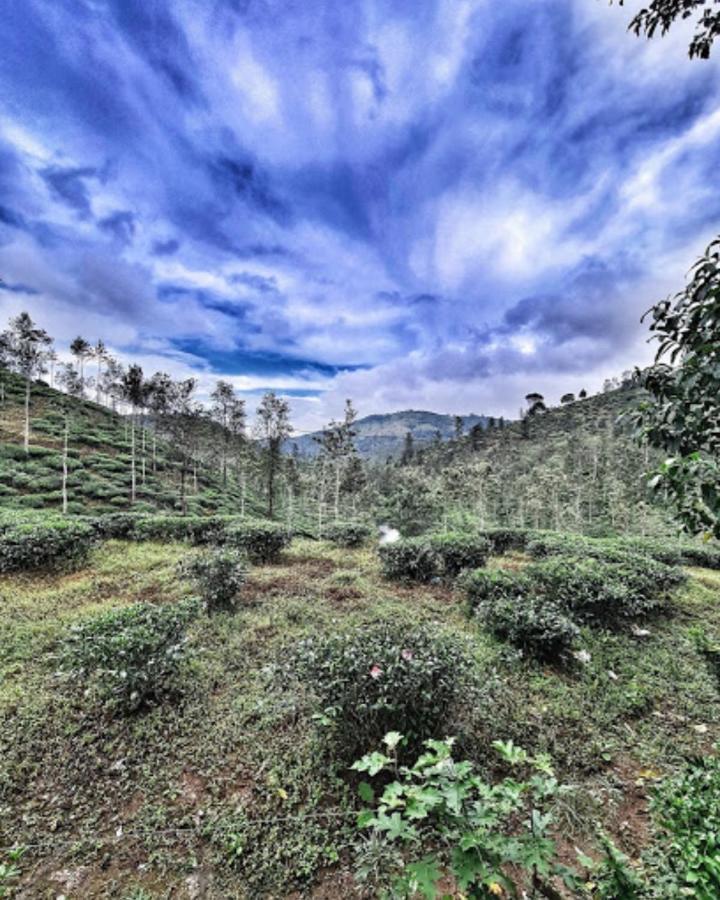 Noah'S Nest Tree House Διαμέρισμα Thekkady Εξωτερικό φωτογραφία