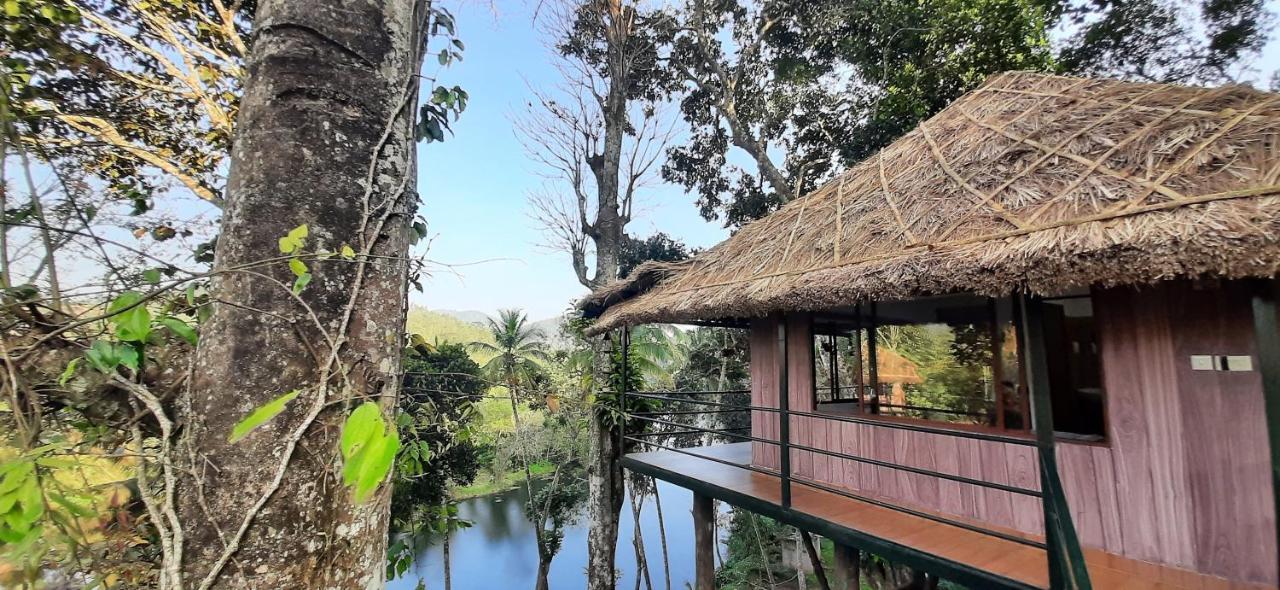 Noah'S Nest Tree House Διαμέρισμα Thekkady Εξωτερικό φωτογραφία
