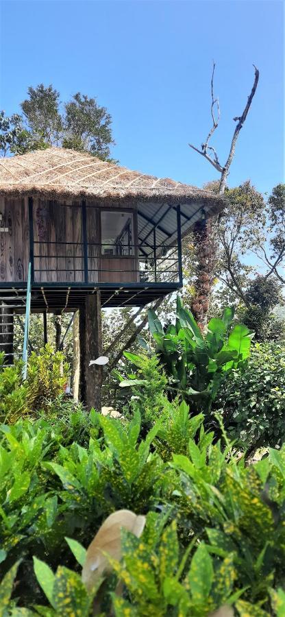 Noah'S Nest Tree House Διαμέρισμα Thekkady Εξωτερικό φωτογραφία