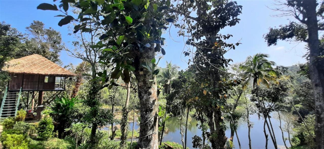 Noah'S Nest Tree House Διαμέρισμα Thekkady Εξωτερικό φωτογραφία
