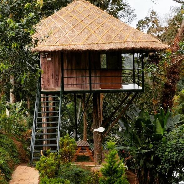 Noah'S Nest Tree House Διαμέρισμα Thekkady Εξωτερικό φωτογραφία