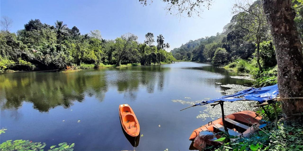 Noah'S Nest Tree House Διαμέρισμα Thekkady Εξωτερικό φωτογραφία
