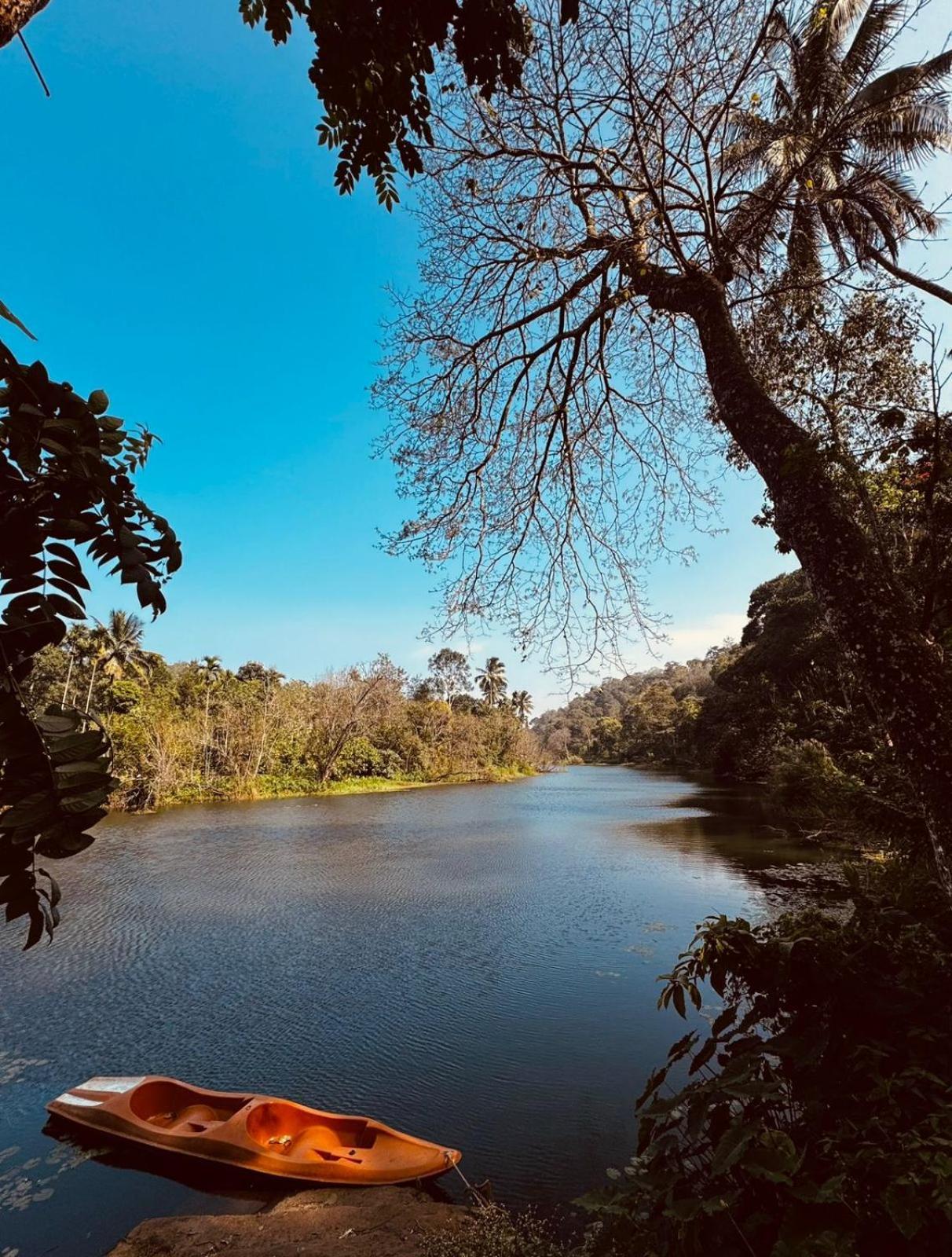 Noah'S Nest Tree House Διαμέρισμα Thekkady Εξωτερικό φωτογραφία