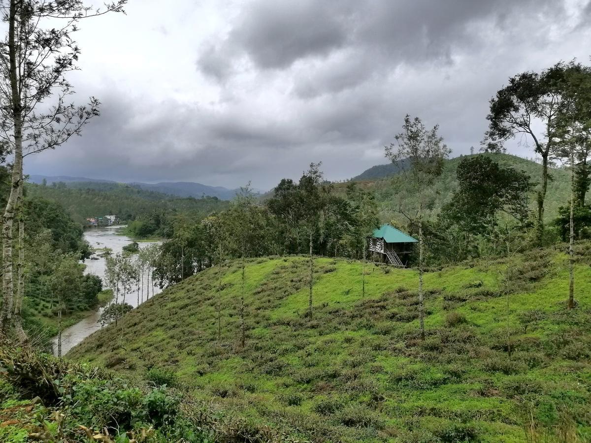 Noah'S Nest Tree House Διαμέρισμα Thekkady Εξωτερικό φωτογραφία