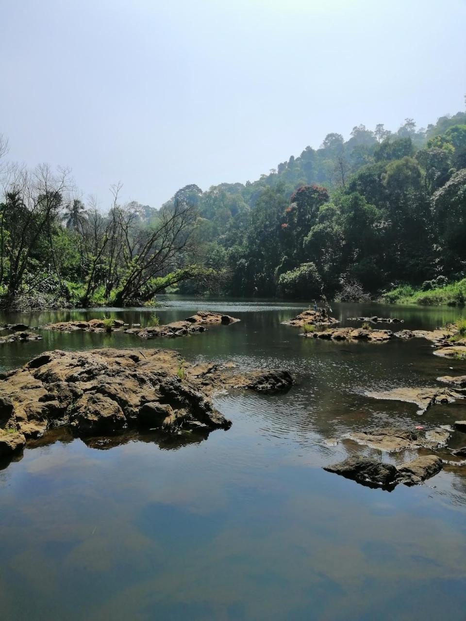 Noah'S Nest Tree House Διαμέρισμα Thekkady Εξωτερικό φωτογραφία