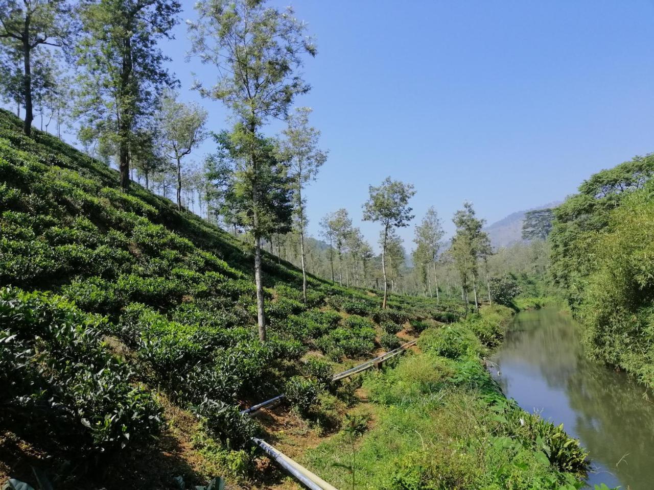 Noah'S Nest Tree House Διαμέρισμα Thekkady Εξωτερικό φωτογραφία